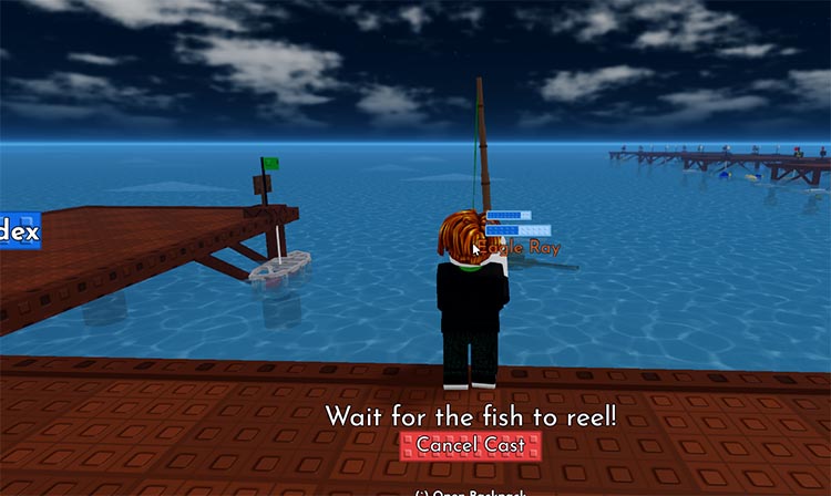 my fishing